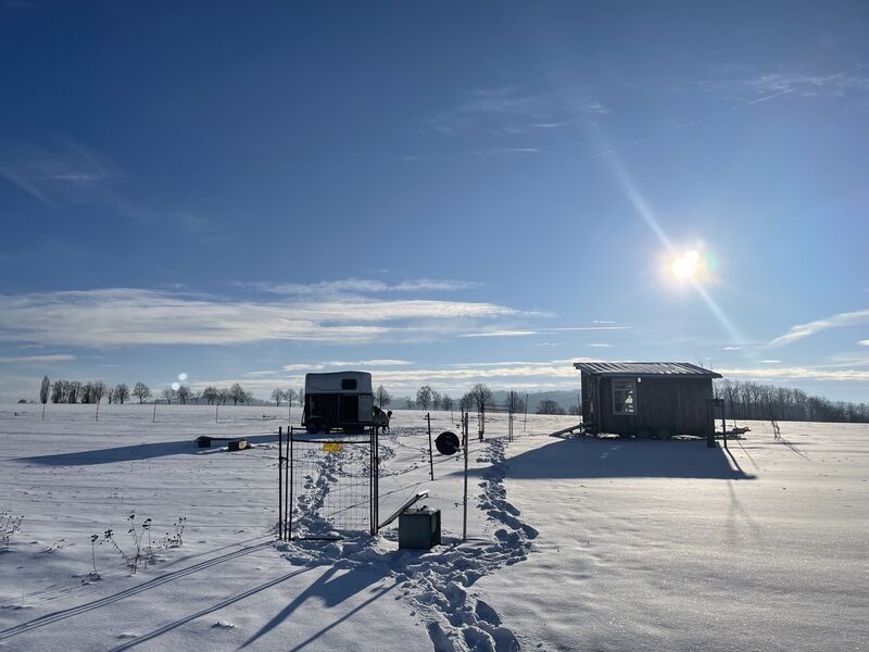 Unsere Wiese mit Ziegen- und Hühnerstall begraben unter Schnee